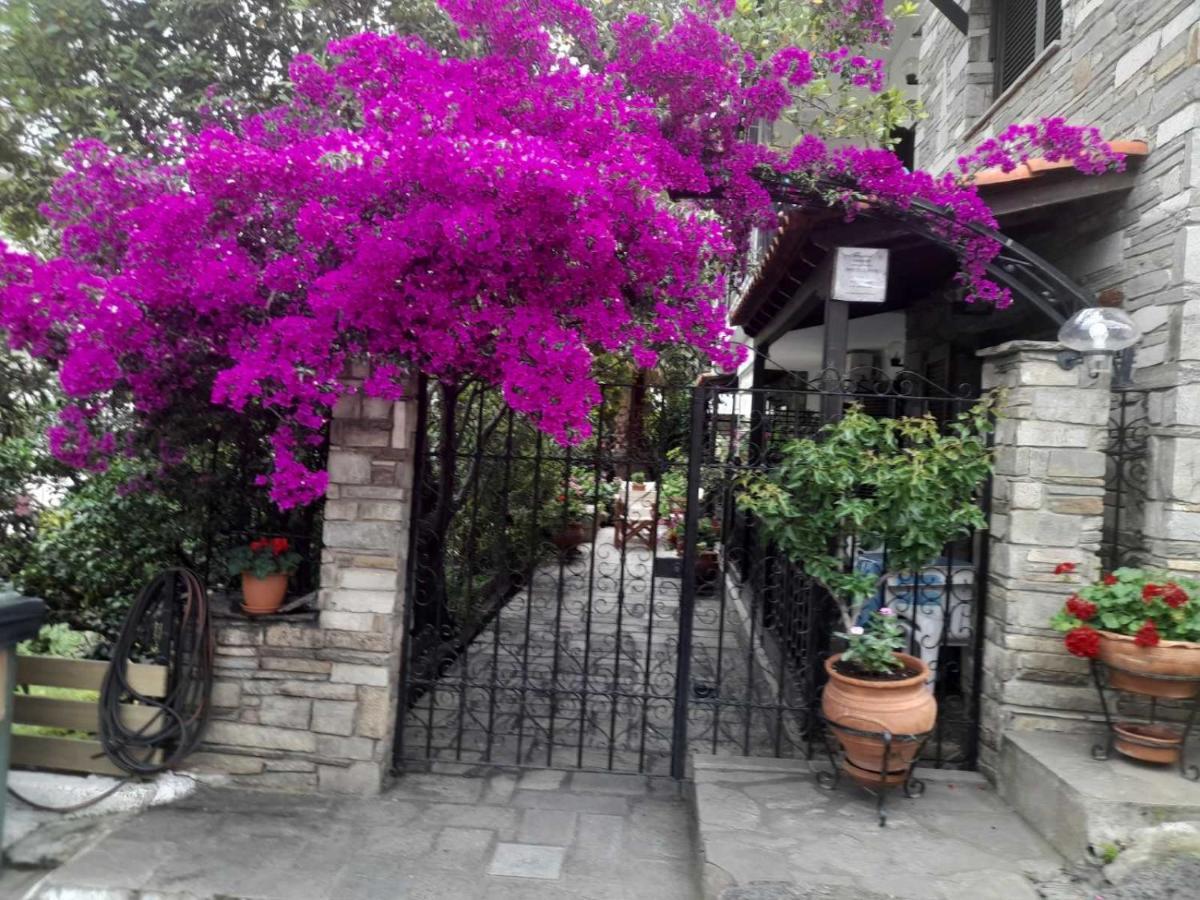Papatzikos Traditional Guesthouse Neos Marmaras Exterior photo